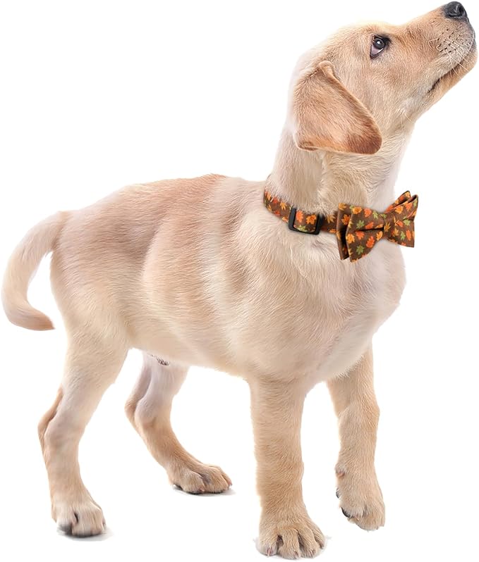 Faleela Cute Soft Girl Dog Collar with Bow, Adjustable Collar for Small to Large Pets