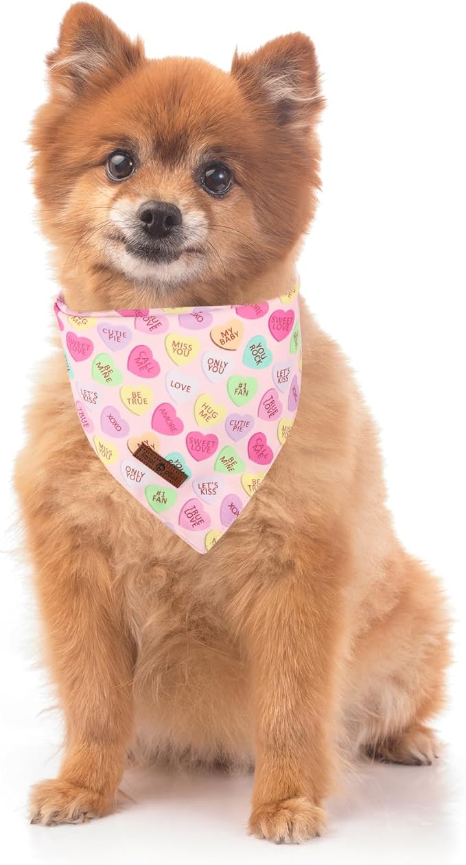 Lionet Paws Valentine's 2pcs Dog Bandanas, Red Floral Dog Scarf Bib Premium Fabric, Happy Valentine Heart Bandanas for Small Dogs Pets