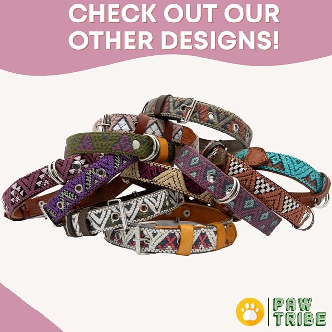 Western Dog Collar - Leather Embroidered Design for Small Medium Large Dogs & Puppy Pets - Aztec Southwest for Boy Girl Female & Male Dogs - Collar para Perros Beaded (Medium, Carissma)
