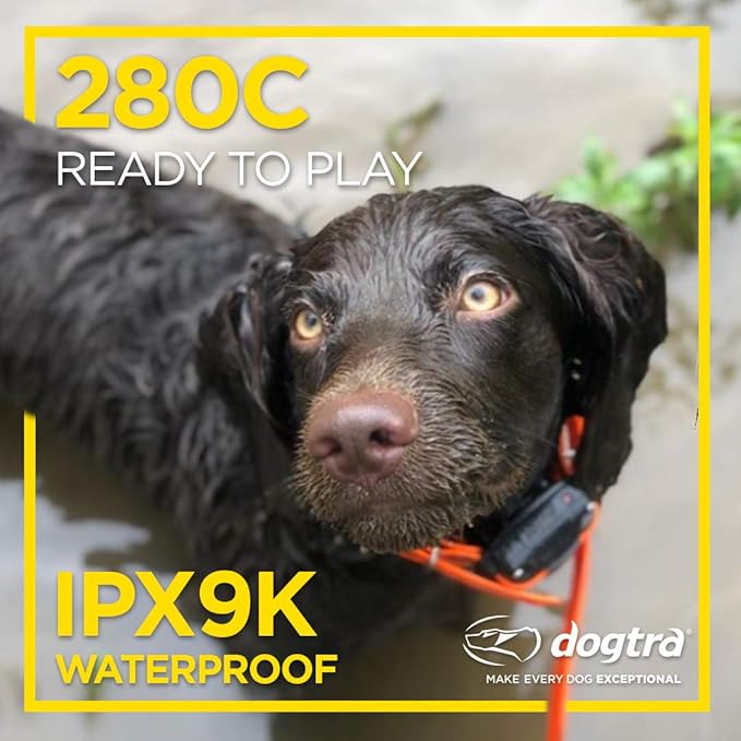 Dogtra 280C Waterproof 127-Level Precise Control LCD Screen 1/2-Mile Remote Training Dog E-Collar