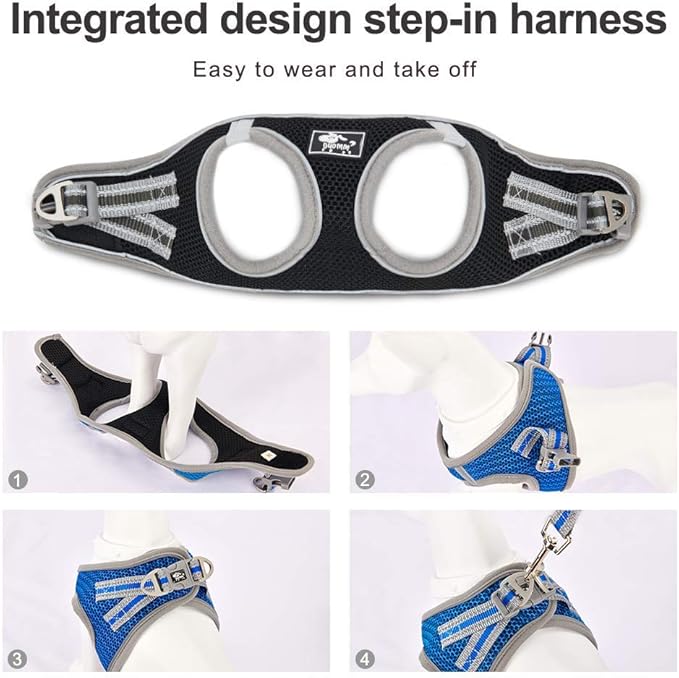 Dog and Cat Universal Harness with Leash - Cat Harness Escape Proof - Adjustable Reflective Step in Dog Harness for Small Dogs Medium Dogs - Soft Mesh Comfort Fit No Pull No Choke, Black, L