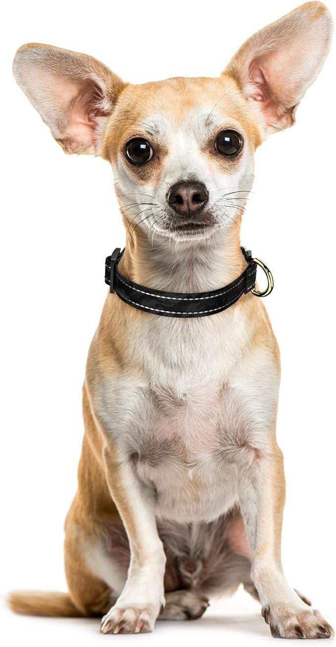 Reflective Dog Collar for Extra Small Dogs Cats, Cute Camouflage Adjustable Heavy-Duty Nylon Puppy Collar for Boy and Girl Female, Soft Pet Accessories with Quick Release Buckle, Black