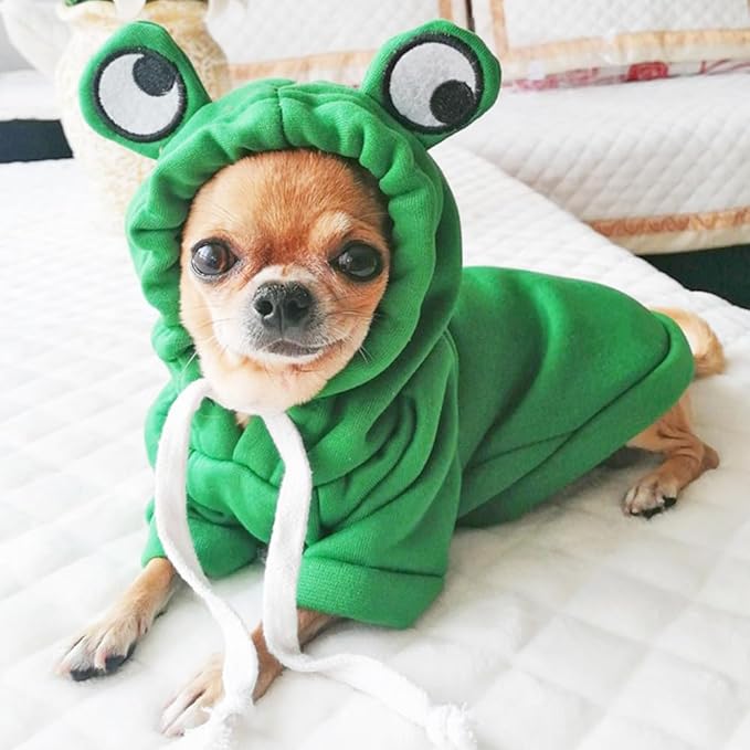 ANIAC Funny Pet Clothes for Small Dog Cat Girl Male Frog Hoodies Warm Sweatshirt Coat With Eye Hood Fall Puppy Cat Apparel Christmas Halloween Frog Costume (Green, Small)
