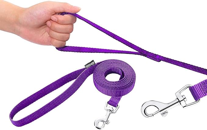 AMAGOOD 6 FT Puppy/Leash, Strong Traditional Style with Easy to Use Collar Hook, Great for Small, Medium and Large Dogs (5/8in x 6 ft, Purple)