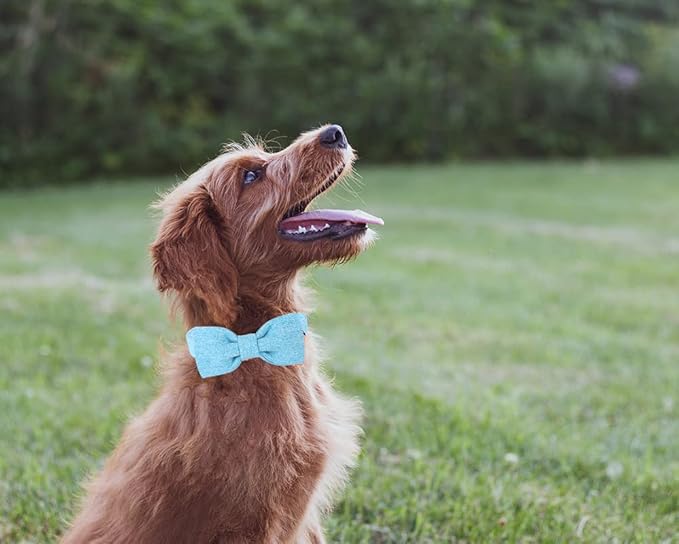 DOGWONG Hemp Cotton Dog Collar with Bow Blue Pet Collar Durable Adjustable Puppy Collar for Small Medium Large Dogs