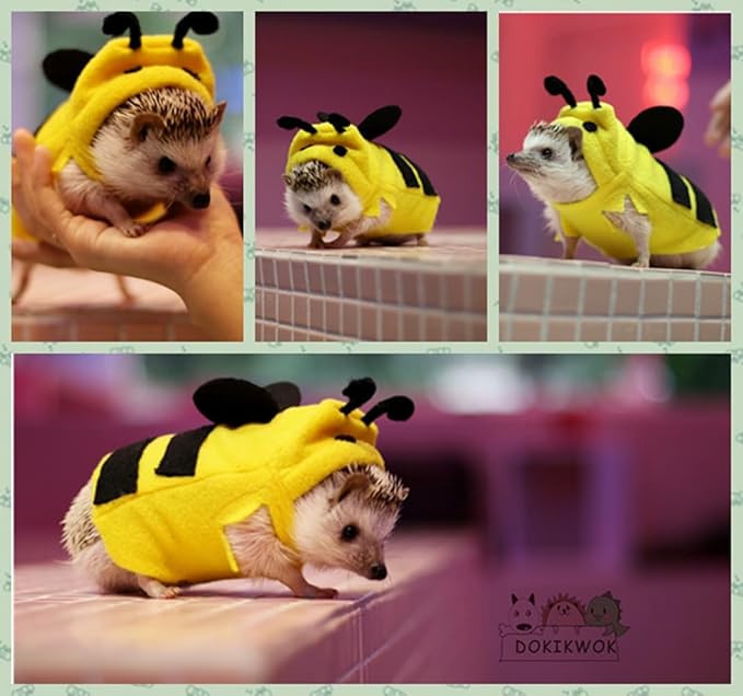 Hedgehog Costume Bee Clothes for Hedgehogs Small Animal Apparel Polar Fleece Handmade Hedgehog Hoodie Dress Up Accessories Outfit for Cosplay Halloween Christmas Party Pet Supplies (L(500-600g))