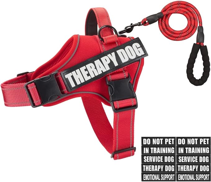 Dog Vest Harness and Leash Set, Animire Reflective Service Dog Vest with 10 Patches, 3 Rings No Choke Pet Vest for Leash Placement, in Training Dog Harness for Small Medium Large Dogs(Red,XL)