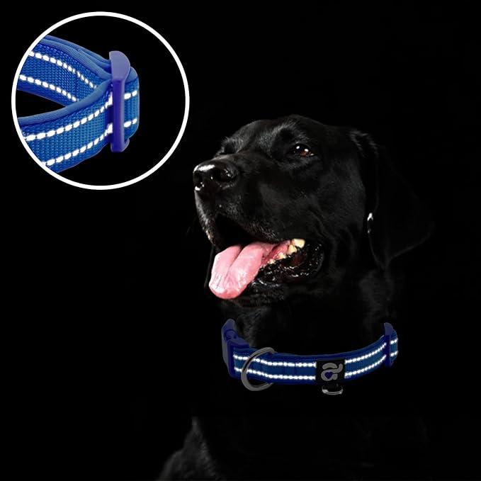 azuza Reflective Dog Collar,Soft Neoprene Padded Pet Collar with ID Tag Ring,Adjustable for Medium Dogs,Royal Blue,M