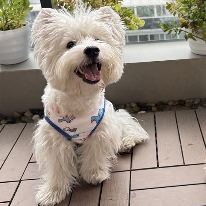 Dog Clothes Puppy Cute Dinosaur Pet Shirt Dog Vest Cat Clothes Doggie Boy Girl T Shirts for Small Dogs Cat Teacup Chihuahua Yorkie (Dino Vest, Large)