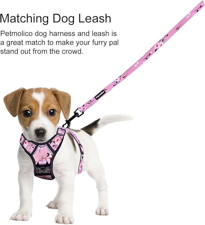 Petmolico Medium Dog Harness and Leash Set, No Choke 4 Leash Attachments Easy Control Handle Soft Padded Reflective Vest Dog Harness, Pink Plum