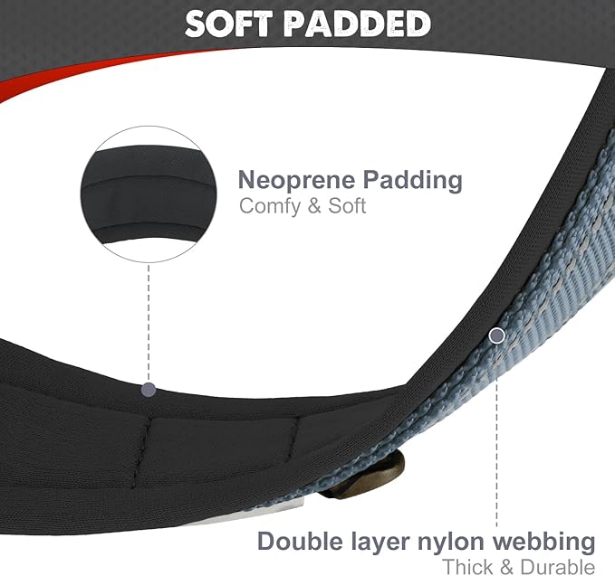 Joytale Dog Collar for Medium Dogs, Neoprene Padded and Adjustable, Reflective Wide Heavy Duty Pet Collars with Durable Metal Belt Buckle for Walking, Gray, M