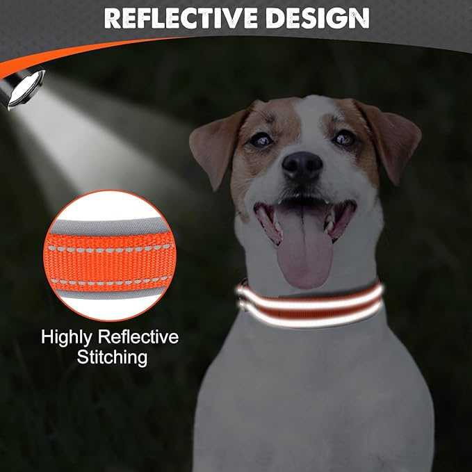 Joytale Dog Collar for Small Dogs, Neoprene Padded and Adjustable, Reflective Wide Heavy Duty Pet Collars with Durable Metal Belt Buckle for Walking, Orange, S