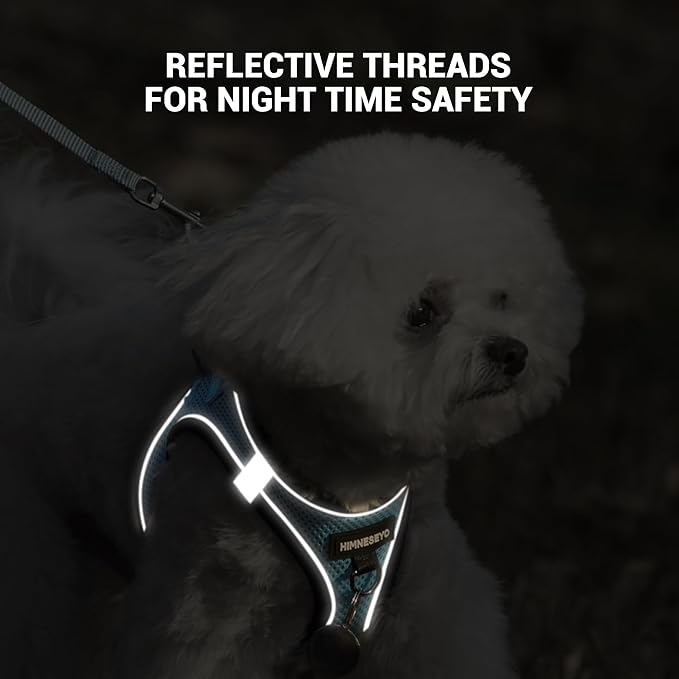 Dog Harness and Leash Set, Dog Harness for Dogs No Pull, No-Chock Step-in Reflective Breathable Lightweight Easy Walk Vest Harnesses with Safety Buckle for Small Medium Dogs, Cats (Light Blue, S)