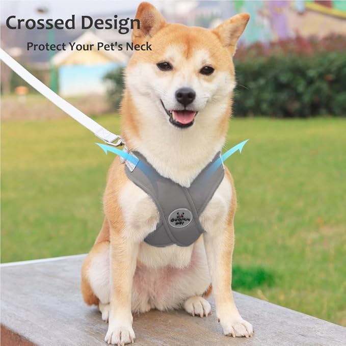 FEimaX Dog Harness Pet X Frame No Pull Step-in Harnesses with Leash Set, Adjustable Reflective Choke Free Puppy with Padded Vest for Small, Medium Dogs and Cats Walking Training
