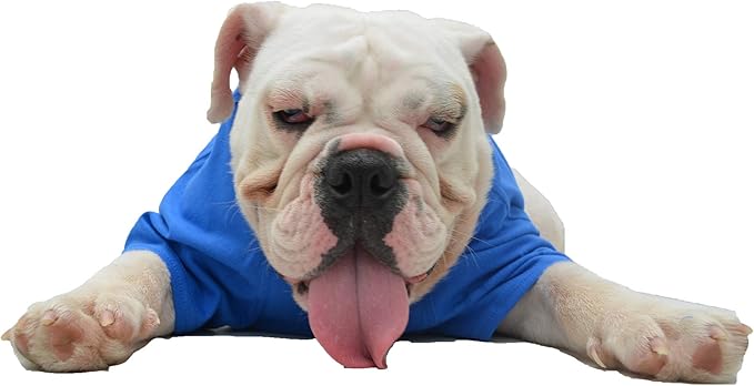 Lovelonglong Bulldog Clothes Dog Clothing Blank T-Shirt Tee Shirts for French Bulldog English Bulldog American Pit Bull Pugs 100% Cotton Skin Care Blue B-L