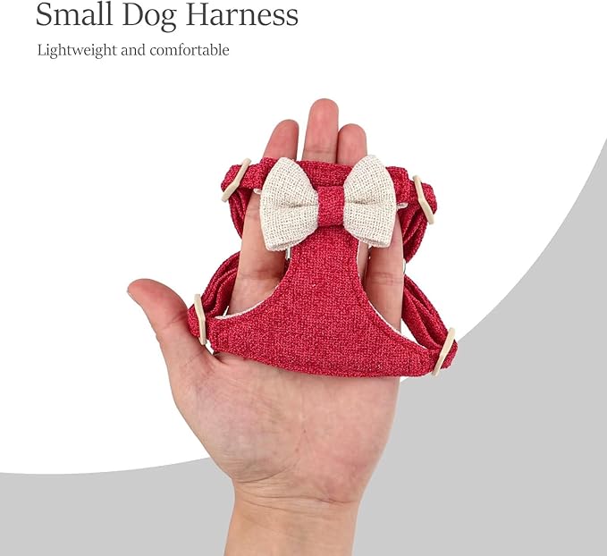 Didog Small Dog Harness Collar and Leash Set, Adjustable Lightweight Vest Harness with Cotton Soft Mesh for Small Dogs, Cats (Red, S)