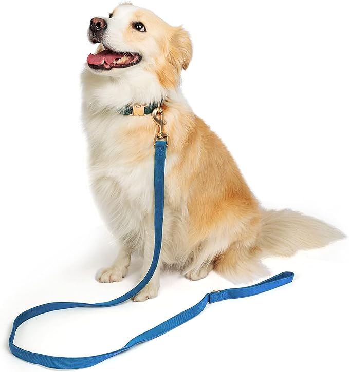 Soft Corduroy Dog Collar and Leash Set, Adjustable Cotton Dog Collars with Metal Buckle and Lead for Large Dogs,Blue