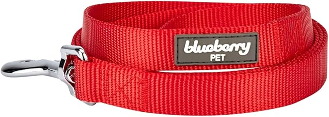 Blueberry Pet Essentials 19 Colors Durable Classic Dog Leash 5 ft x 3/4", Rouge Red, Medium, Basic Nylon Leashes for Dogs