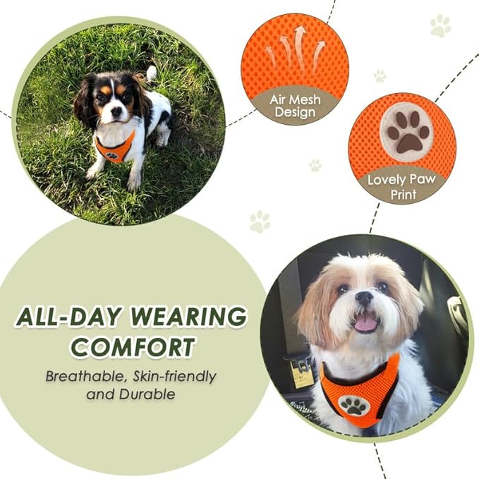 SlowTon Dog Seat Belt Harness for Car, Dog Car Harness Adjustable Mesh Breathable & Dog Seatbelt Safety Tether with Elastic Bungee for Small Medium Large Pets(Orange, Double Clip, XXXS)