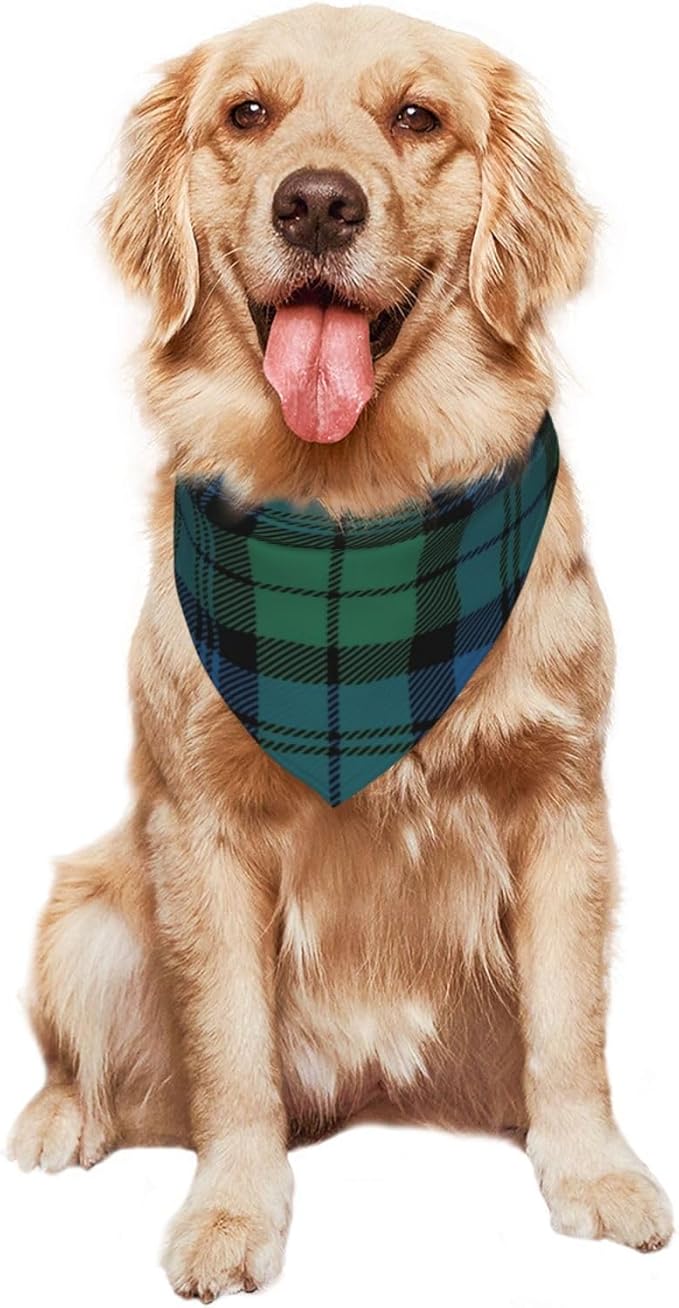 Triangle Plaid Tartan Scottish Clan Campbell Cat & Dog Scarf, Plaid Pet Scarf for Small to Large Dogs & Cats