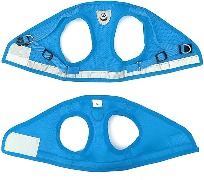 FEimaX Dog Harness and Leash Set for Walking, Soft Mesh Adjustable Easy Control Lightweight Cat Vest Harnesses with Reflective Strips, Escape Proof Small Dogs Cats Vests (Azure, X-Small)