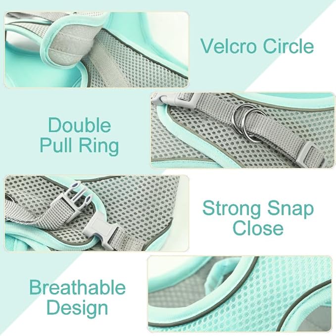 Cat Harness and Leash Set Soft Adjustable Escape Proof Cat Leash Breathable Comfortable Vest Easy to Wear Kitten/Small Dogs Harness for Outdoor Walking Green S