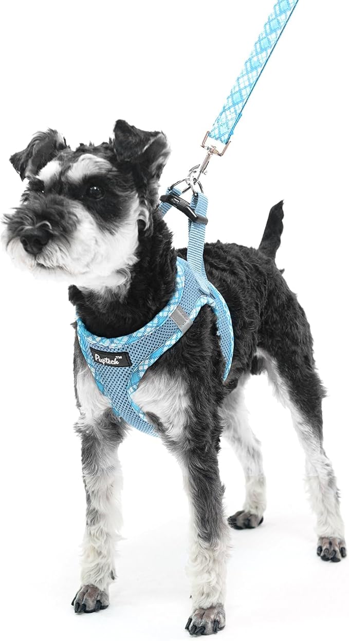 PUPTECK Dog Harness and Leash Set for Small Medium Dogs No Pull Step-in Soft Mesh Puppy Cat Vest Harnesses Reflective at Night, Sky Blue, XS