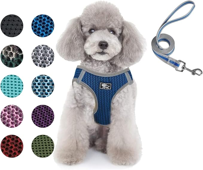 Dog and Cat Universal Harness with Leash - Cat Harness Escape Proof - Adjustable Reflective Step in Dog Harness for Small Dogs Medium Dogs - Soft Mesh Comfort Fit No Pull No Choke (S, Blue)
