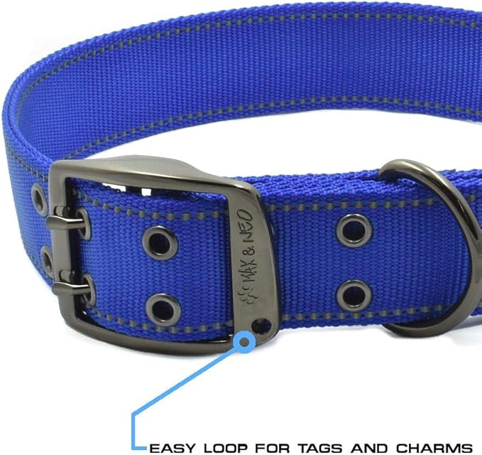 Max and Neo MAX Reflective Metal Buckle Dog Collar - We Donate a Collar to a Dog Rescue for Every Collar Sold (X-Large, Teal)
