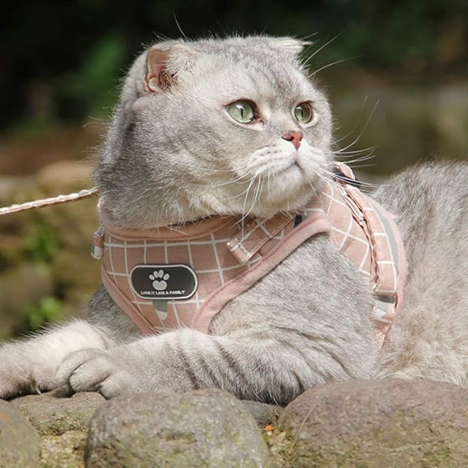 FEimaX Soft Mesh Dog Harness and Leash Set for Walking, No Pull Adjustable Reflective Puppy Step-in Vest Harness for Puppy Small Medium Dogs & Cats (L (Chest 16.1-18.1''/41-46CM), Plaid Pink)