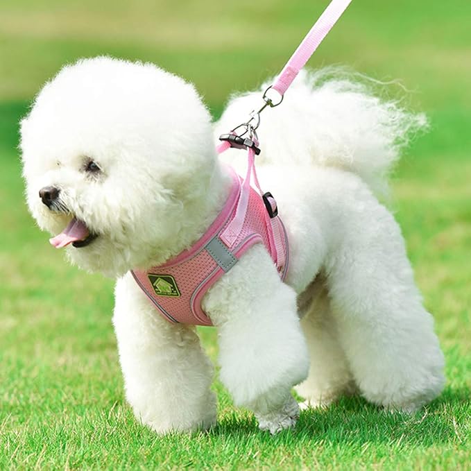 leconpet Step in Dog Harness, Vest Harness and Leash Set for Small Medium Dogs, Puppy Harness, Mesh Reflective Dog Harness Vest (Pink, L)