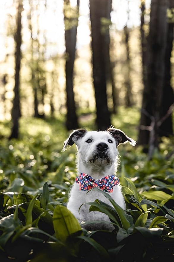 Lionheart glory Premium Floral Dog Collars, Bowtie Dog Collar, Adjustable Heavy Duty Dog Collar with Bow for Large Dogs