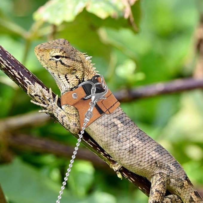 Reptiles Harness Leash, 3PCS Adjustable Bearded Dragon Harness with 5.4Ft Leash for Gecko, Bearded Dragon, Iguana, Hamster, Guinea Pig