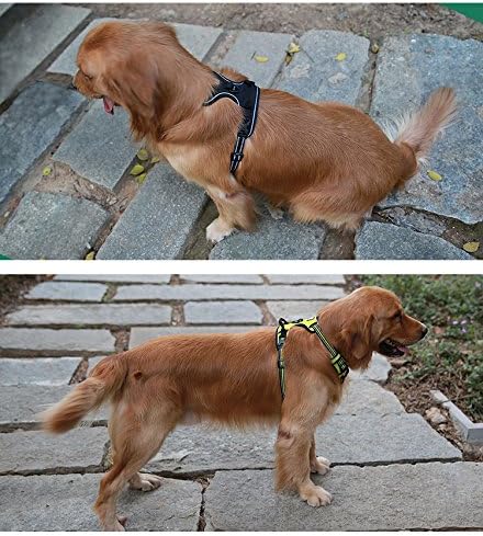 Soft Front Dog Harness .Best Reflective no Pull Harness with Handle and 2 Leash Attachments Teal Blue