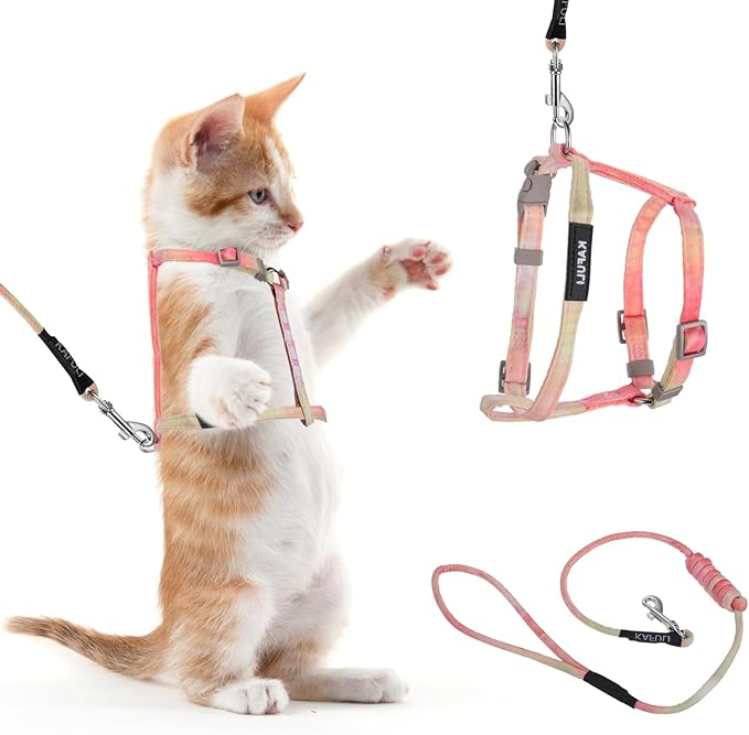 Giantree Cat Harness with Leash and Collar Set, Adjustable H-Shaped Kitten Harness Escape Proof Harness Glow in The Dark for Kitty Outdoor Walking (Orange)