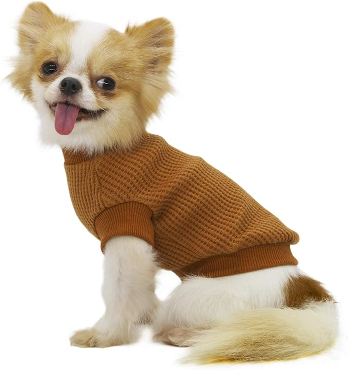 LOPHIPETS Lightweight Dog Sweaters for Puppy Small Dogs Puppy Chihuahua Yorkie Clothes-Yellow/L