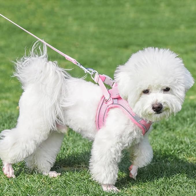 AIITLE Escape Proof Dog Harness - Step in Adjustable Dog Harness No Choke Over with Breathable Mesh for Spring- Outdoor Walking, Camping, Training for Medium Dogs Pure Pink XL