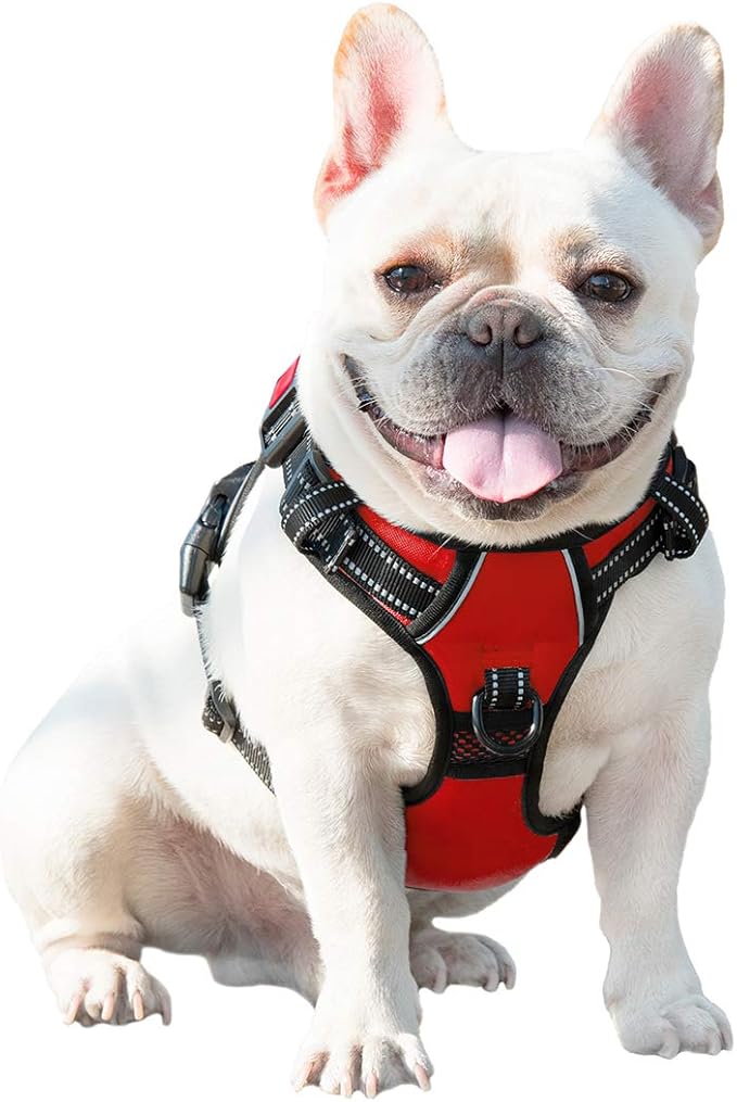 PHOEPET No Pull Dog Harnesses for Small Dogs Reflective Adjustable Front Clip Vest with Handle 2 Metal Rings 3 Buckles [Easy to Put on & Take Off](XS, Red)
