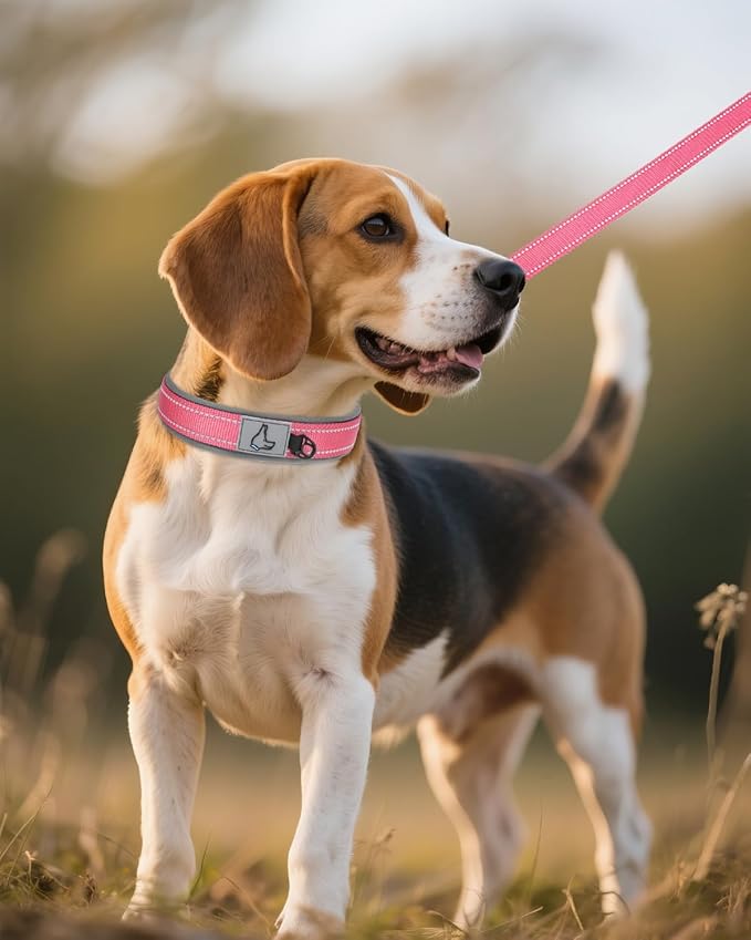 Joytale Dog Collar for Medium Dogs, Neoprene Padded and Adjustable, Reflective Wide Heavy Duty Pet Collars with Durable Metal Belt Buckle for Walking, Pink, M