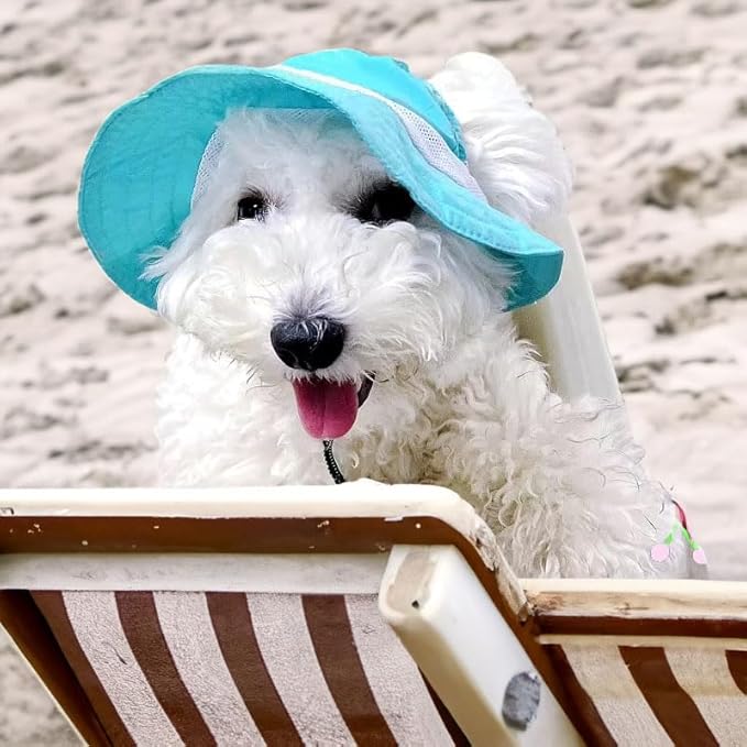 Dog Outdoor Hat with Ear Hole Round Brim Summer Dog Puppy Cat Suncare Cooling Bucket Hat Cute Active Sun Protection Pet Caps (Blue, Medium)