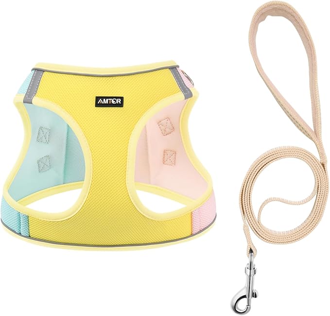 AMTOR Small Dog Harness with Leash Set, No Escape Easy Walk Puppy Harnesses for Training Walking, Step-in Reflective Soft Dogs Vest for XS S Medium Extra-Small Large Sized Dog(Yellow)
