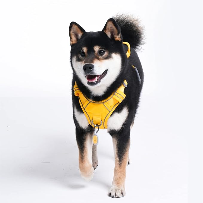 Pawaii No Pull Dog Harness with Pet ID Tag,Reflective Strips No Choke Front O Ring Breathable Mesh Adjustable Soft Padded Pet Vest with Easy Control Handle for Large Dogs