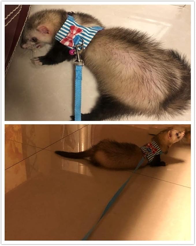 Litewoo Hamster Outdoor Walking Vest Harness and Leash Set Cute Bow-knot and Clear Bell Decor Chest Strap Harness for Rabbit Guinea Pig Chinchilla Ferret Squirrel Marten Kitten (SMALL,Black Stripe)