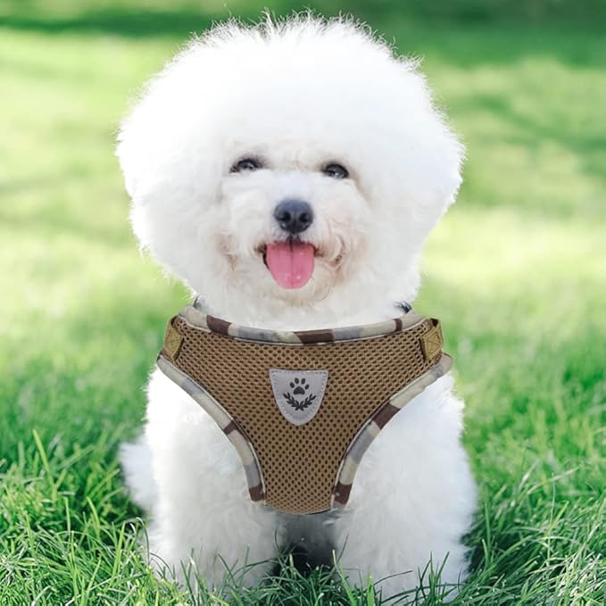 FEimaX Dog Harness and Leash Set for Walking, Soft Mesh Adjustable Easy Control Lightweight Cat Vest Harnesses with Reflective Strips, Escape Proof Small Dogs Cats Vests