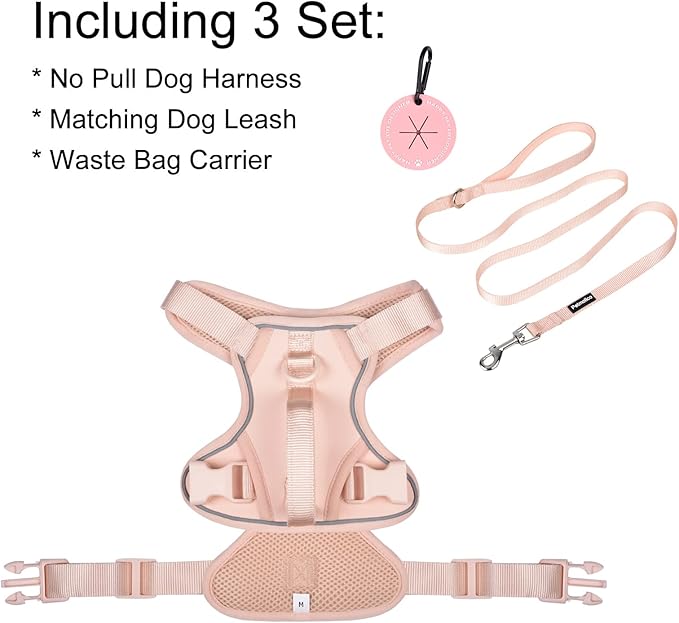Petmolico Dog Harness for Small Dogs, Cute Harness Vest with Two Leash Clips and Soft Handle, Reflective Easy Walk Puppy Vest - Pink, Medium
