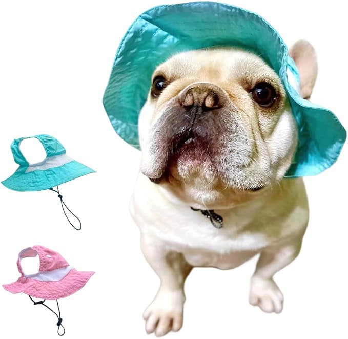 Dog Outdoor Hat with Ear Hole Round Brim Summer Dog Puppy Cat Suncare Cooling Bucket Hat Cute Beach Sun Protection Pet Caps (Blue Large)