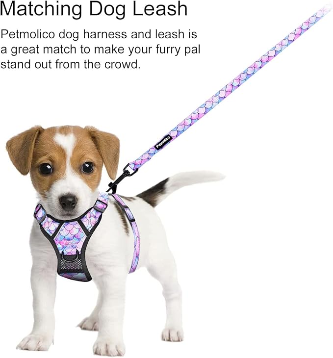 Petmolico No Pull Dog Harness and Leash Set, No Choke 2 Leash Attchments Easy Control Handle Soft Padded Reflective Vest Pet Harness for Medium Dog Breed, Mermaid Style Medium