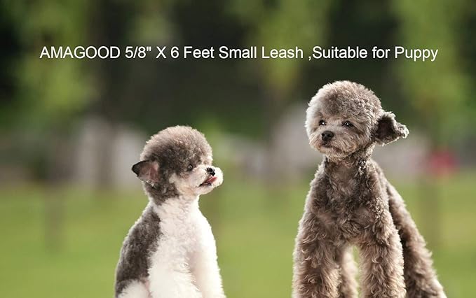 AMAGOOD 6 FT Puppy/Leash, Strong Traditional Style with Easy to Use Collar Hook, Great for Small, Medium and Large Dogs (5/8in x 6 ft, Purple)