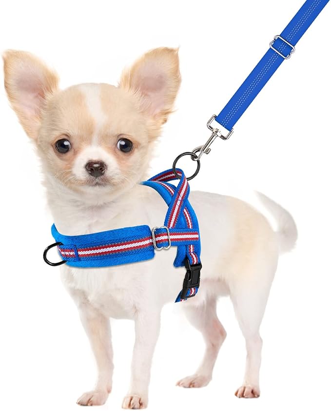 SlowTon No Pull Small Dog Harness and Leash Set, Puppy Soft Vest Harness Neck & Chest Adjustable, Reflective Lightweight Harness & Anti-Twist Pet Lead Combo for Small Medium Dogs (DB-Front Clip, XXS)