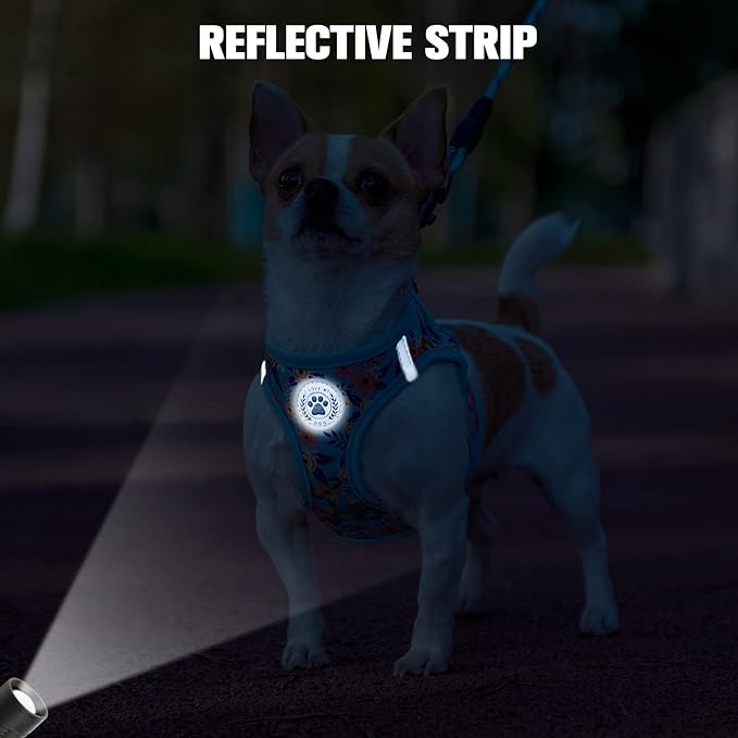 BEAUTYZOO Step in Dog Harness and Leash Set, Floral Pattern Reflective Dog Harness No Pull No Choke Puppy Harness for XXS XS S Dogs Cats, Soft Padded Mesh Vest Harnesses for Girl and Boy Pets